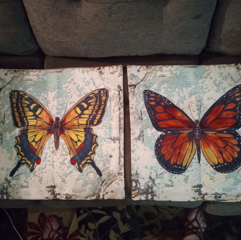 2 Butterfly Pillow Cases